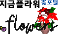 꽃포털, 지금플라워